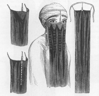 schleier19